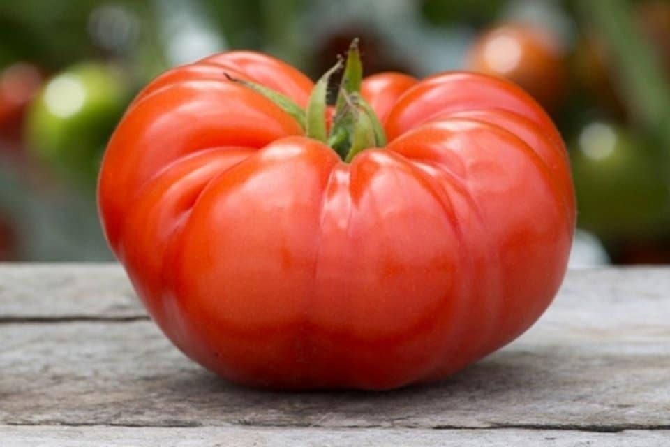 Tomato Seeds, Classic Red Beefsteak Tomato